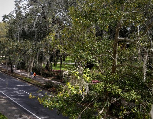 Forsyth Park Inn - image 16