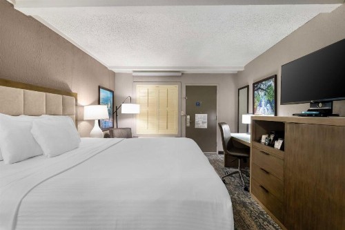 Best Western Savannah Historic District - image 15