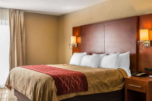 Comfort Inn Savannah - image 22
