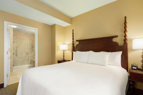 Embassy Suites Savannah Historic District - image 14