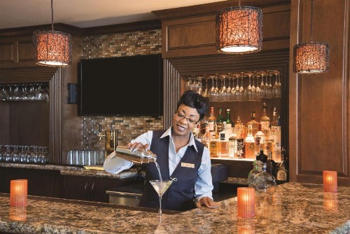 Embassy Suites Savannah Historic District - image 26