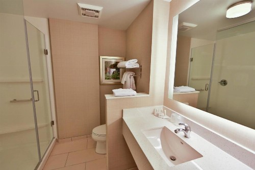 Fairfield Inn & Suites by Marriott Savannah Midtown - image 4