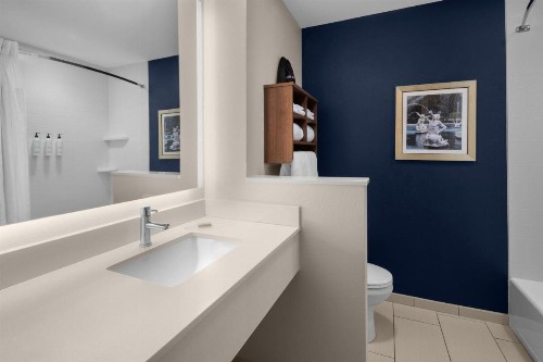 Fairfield Inn & Suites by Marriott Savannah Downtown/Historic District - image 4