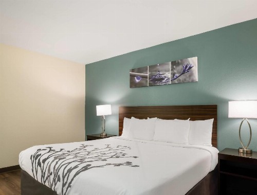 Clarion Inn & Suites Savannah Midtown - image 25