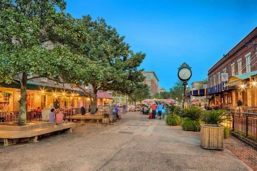 Savannah Serendipity - image 4