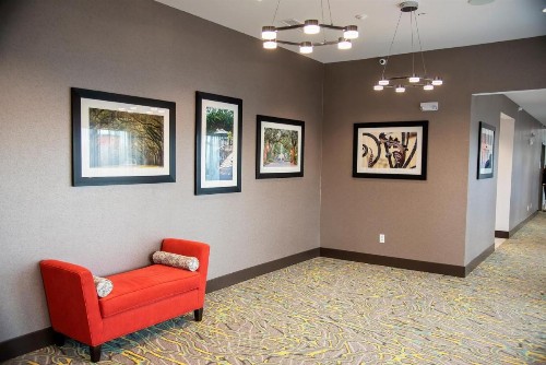 Holiday Inn & Suites - Savannah Airport - Pooler an IHG Hotel - image 41