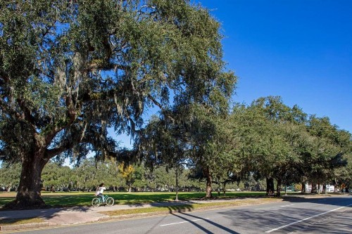 Huge 5 bed 5 bath in Historic Downtown Savannah - image 6