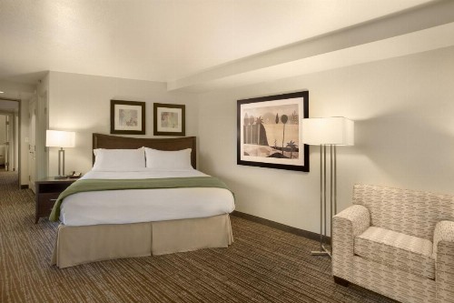 Holiday Inn Scottsdale North- Airpark an IHG Hotel - image 19