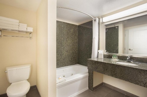 Holiday Inn Scottsdale North- Airpark an IHG Hotel - image 24