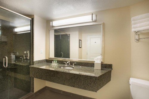 Holiday Inn Scottsdale North- Airpark an IHG Hotel - image 33