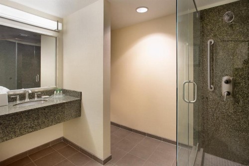 Holiday Inn Scottsdale North- Airpark an IHG Hotel - image 42
