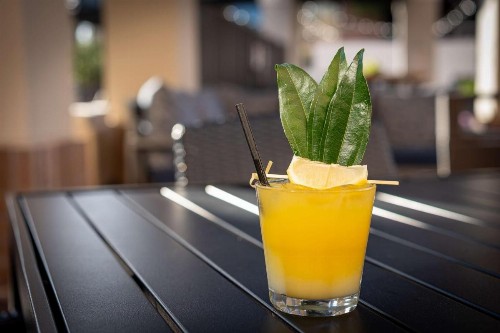 Hilton Garden Inn Scottsdale Old Town - image 32