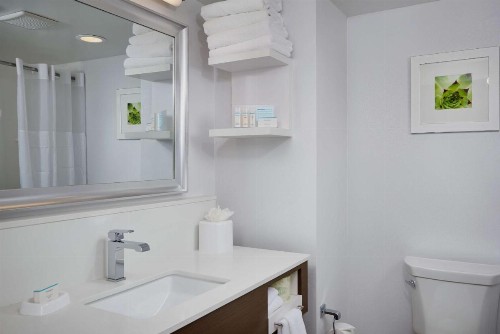 Hampton Inn & Suites Scottsdale On Shea Blvd - image 47