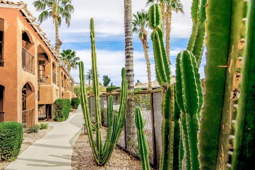 Holiday Inn Club Vacations Scottsdale Resort an IHG Hotel - image 29