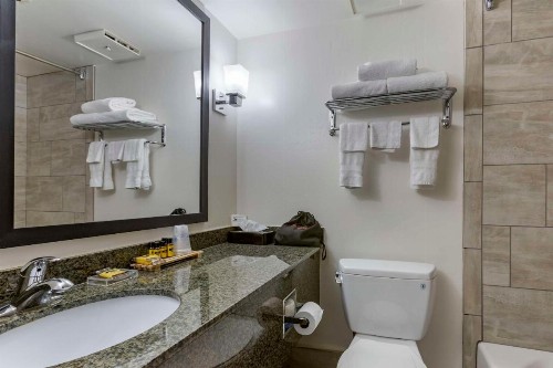 Best Western Plus Scottsdale Thunderbird Suites - image 19