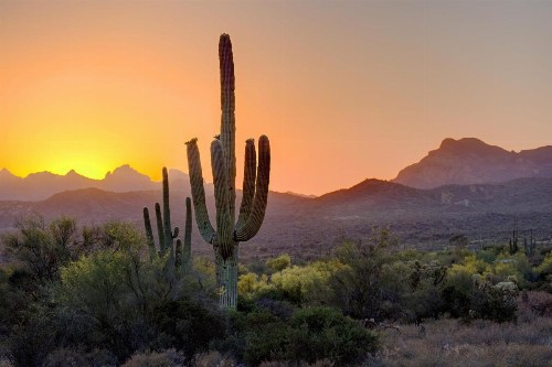 Aloft Scottsdale - image 14