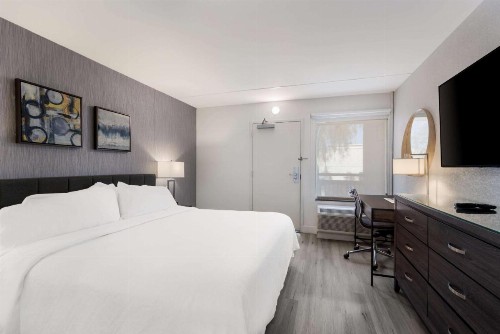 SureStay Plus Hotel by Best Western Scottsdale North - image 18