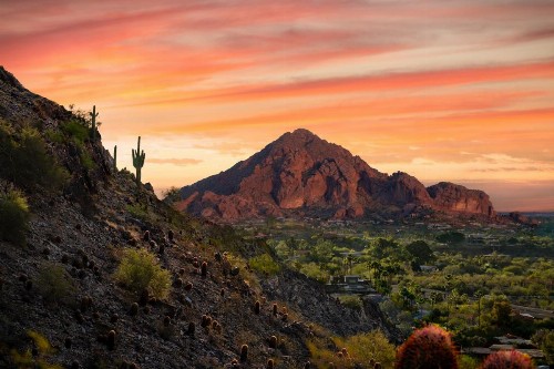 Hyatt Place Scottsdale/Old Town - image 17
