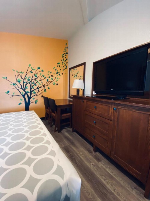 Rodeway Inn Old Town Scottsdale - image 28