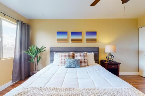 Camelback House - image 11