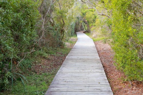 Catesby's Bluff 2240 - image 9
