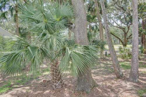 Shadowwood Villas 611 - image 8