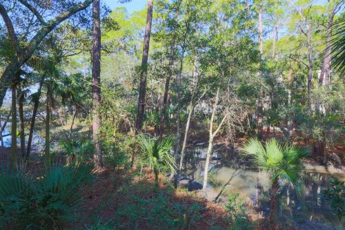 Marsh Woods Cottage - image 12