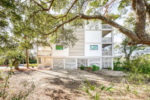 2023 Marsh Walk - image 8
