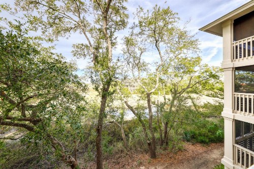 2017 Marsh Walk - image 11