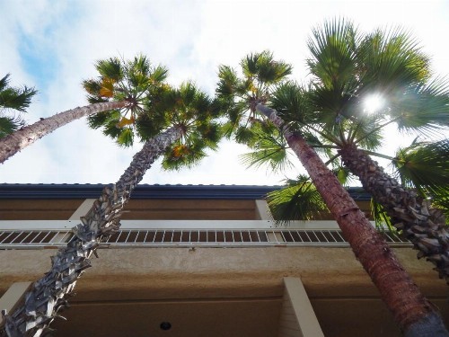The Pacific Inn - image 22