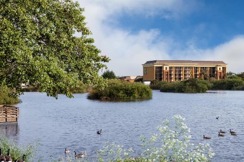 Holiday Inn Express at Monterey Bay an IHG Hotel - image 7