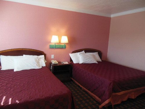 Sealamp Inn - image 10