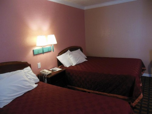 Sealamp Inn - image 27
