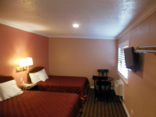 Sealamp Inn - image 3