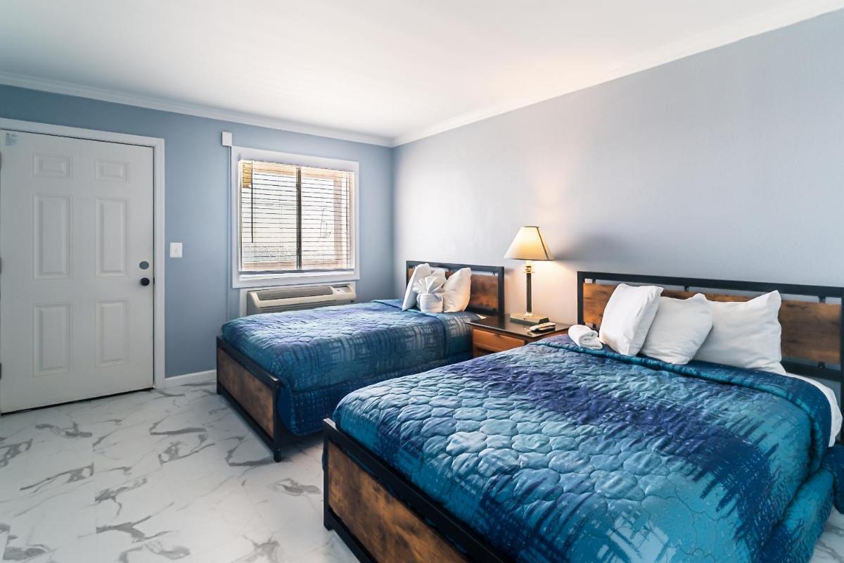 Boardwalk Hotel Charlee & Apartments Beach Hotel Oceanfront - image 4