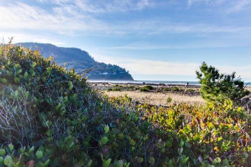 Ocean Vista Vacation Home - image 4