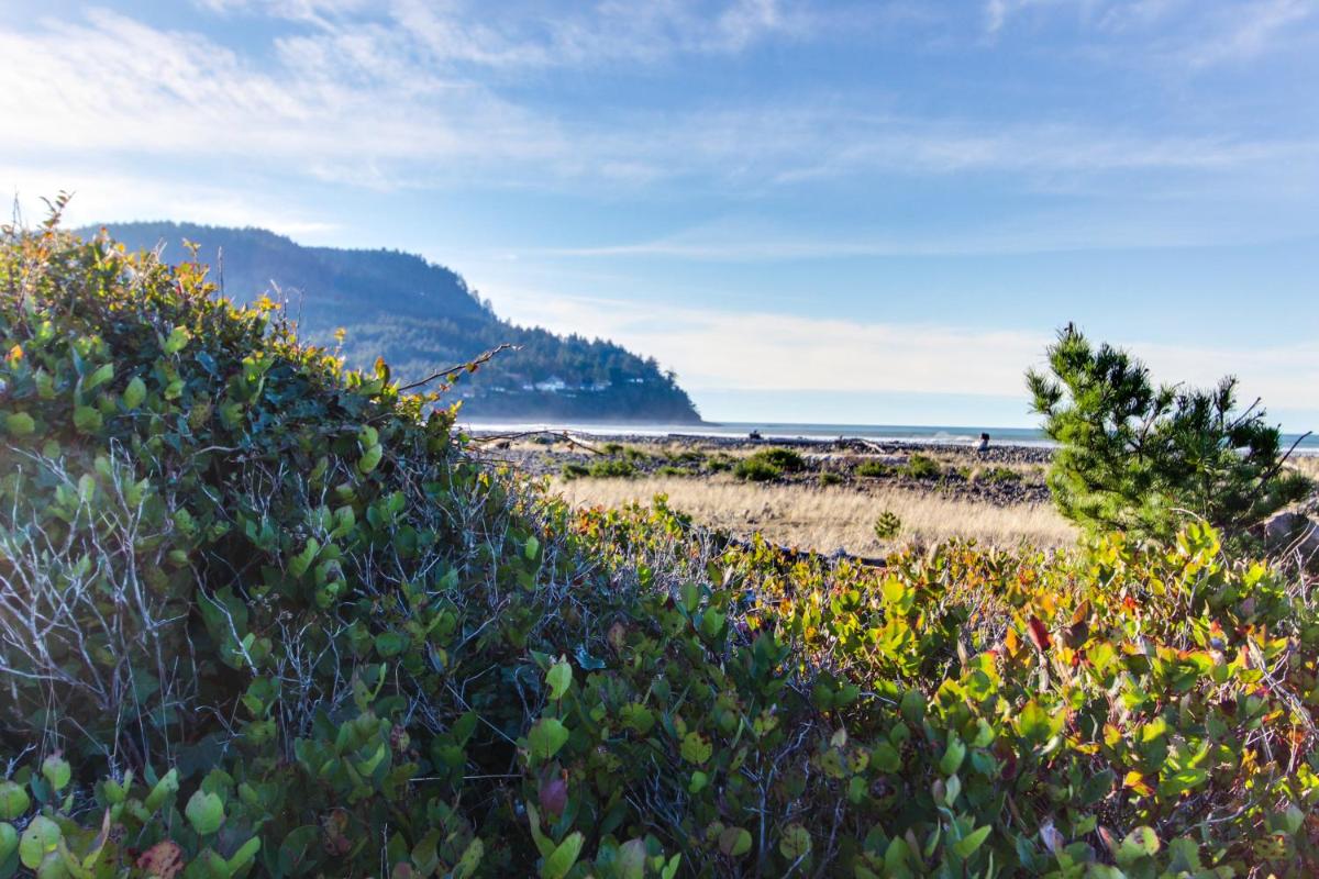 Ocean Vista Vacation Home - image 4