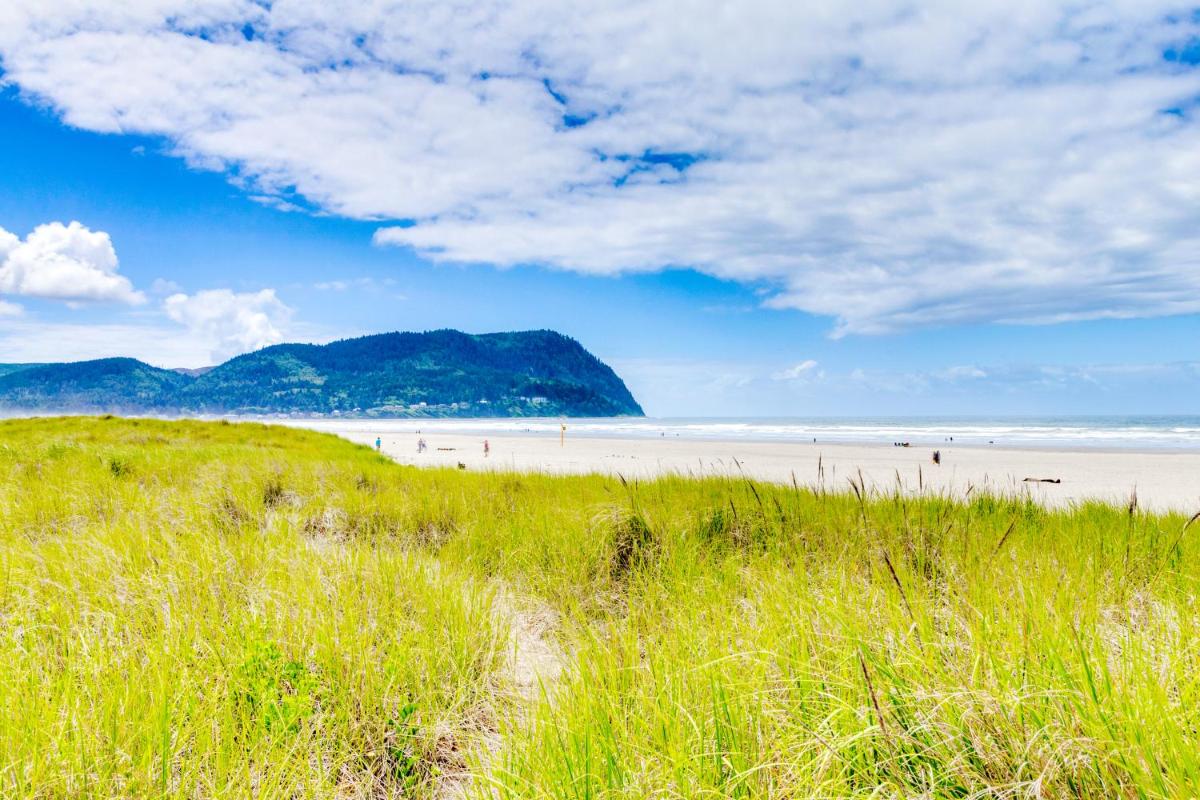 Sand & Sea: The Promenade (100) - image 7