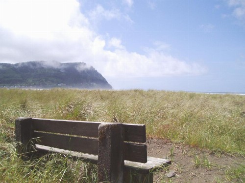 Seaside Ocean Front Condo - image 39
