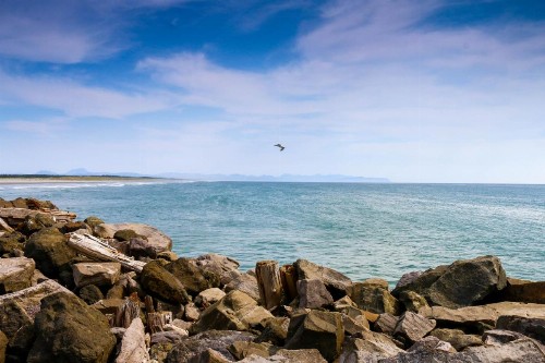 Gulls Nest (610) - image 12