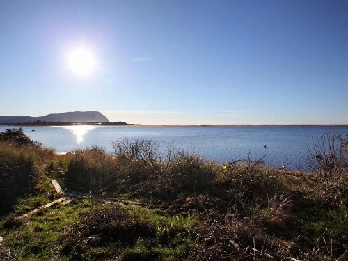 Estuary Cottage - image 2