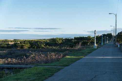Necanicum West - image 4