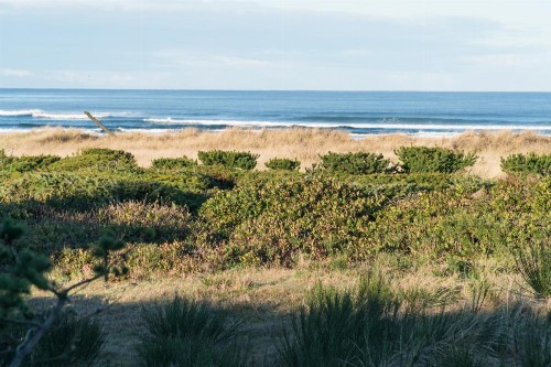 Seahorse Cottage - image 4