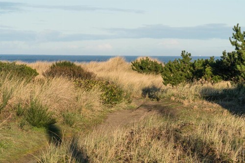 Seahorse Cottage - image 6