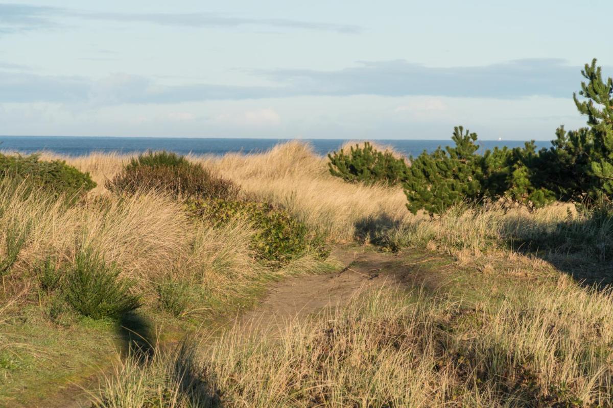 Seahorse Cottage - image 6