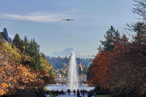 Graduate Seattle - image 24