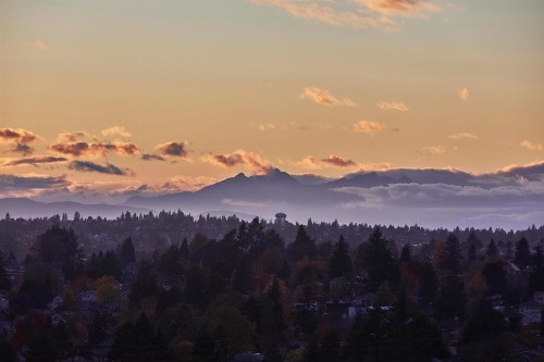 Graduate Seattle - image 8