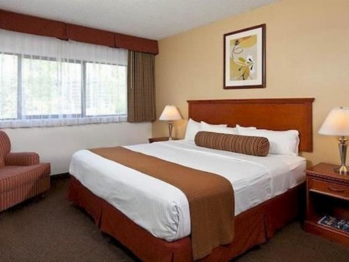 The Loyal Inn - image 7