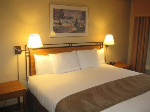 Travelodge by Wyndham Seattle By The Space Needle - image 44