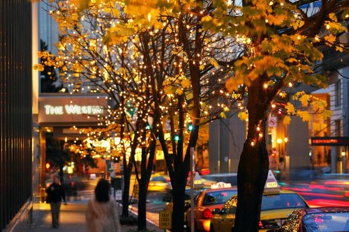 The Westin Seattle - image 4